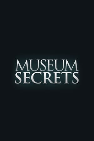 博物馆的秘密第三季